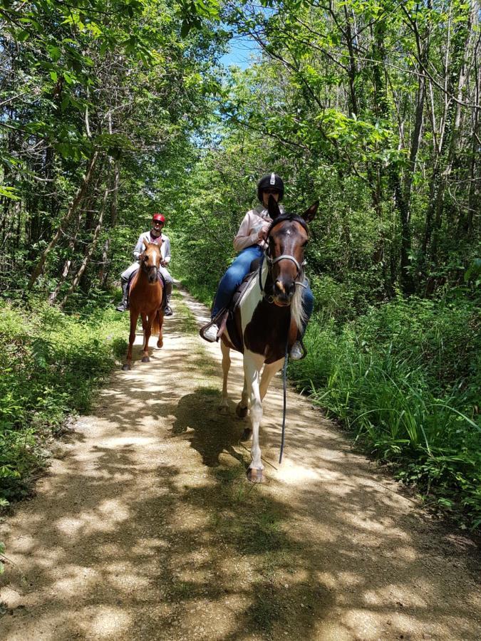 Gite Equestre Domaine Des Crins - Monpazier Capdrot Bagian luar foto