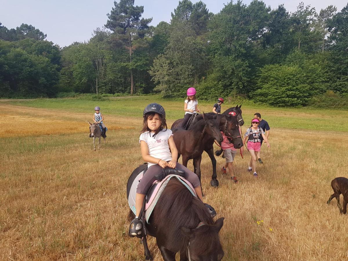 Gite Equestre Domaine Des Crins - Monpazier Capdrot Bagian luar foto