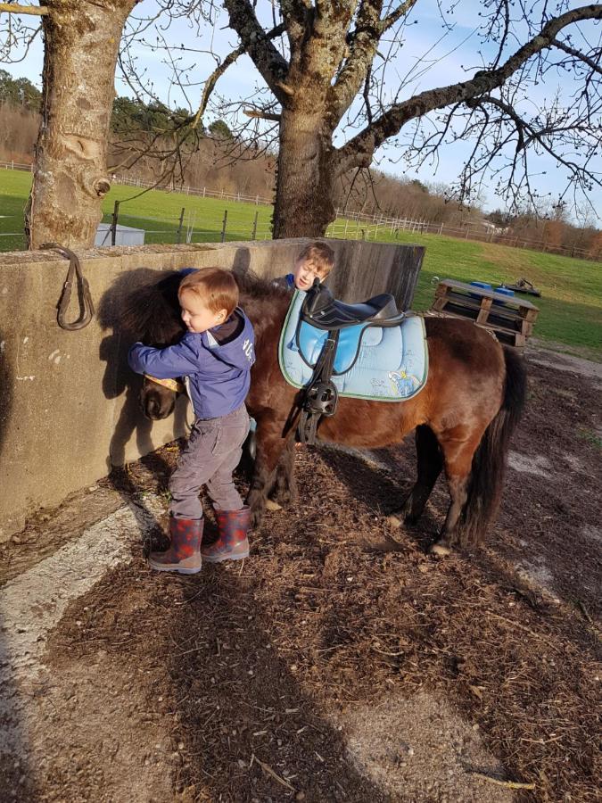 Gite Equestre Domaine Des Crins - Monpazier Capdrot Bagian luar foto