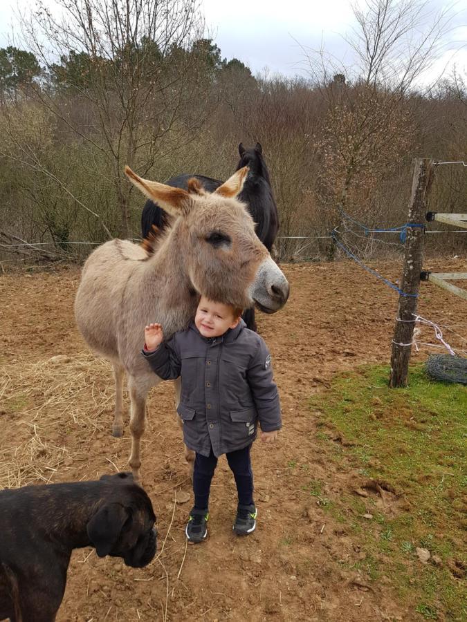 Gite Equestre Domaine Des Crins - Monpazier Capdrot Bagian luar foto