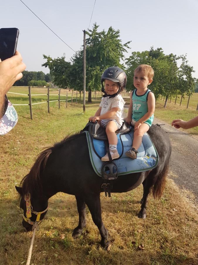 Gite Equestre Domaine Des Crins - Monpazier Capdrot Bagian luar foto