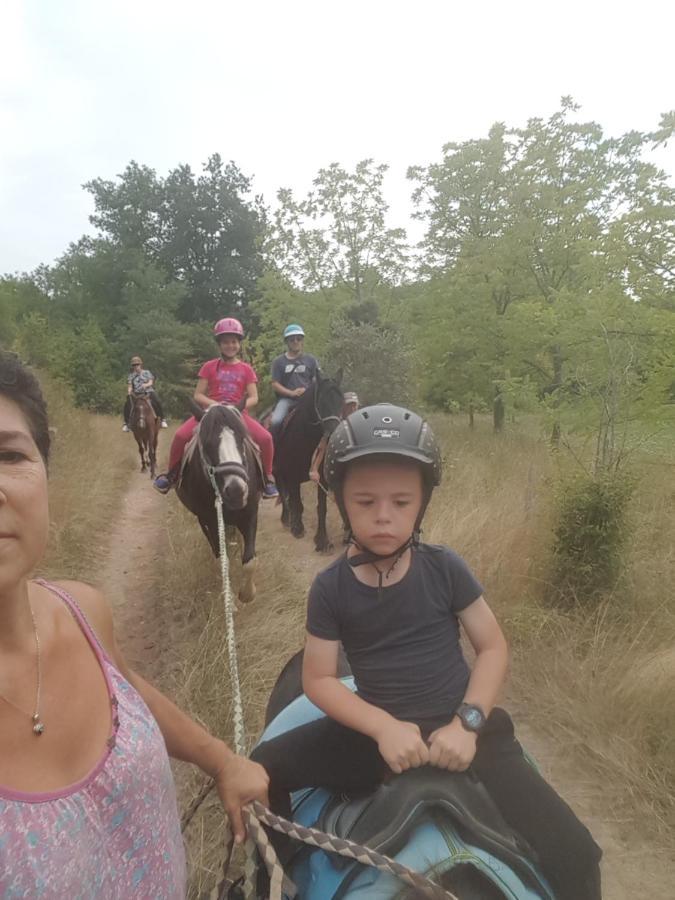 Gite Equestre Domaine Des Crins - Monpazier Capdrot Bagian luar foto