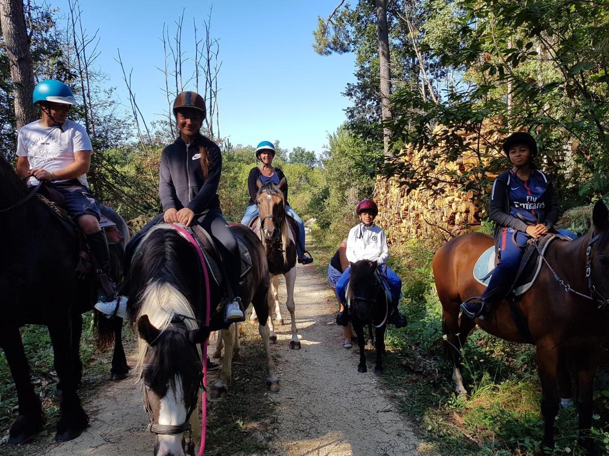 Gite Equestre Domaine Des Crins - Monpazier Capdrot Bagian luar foto