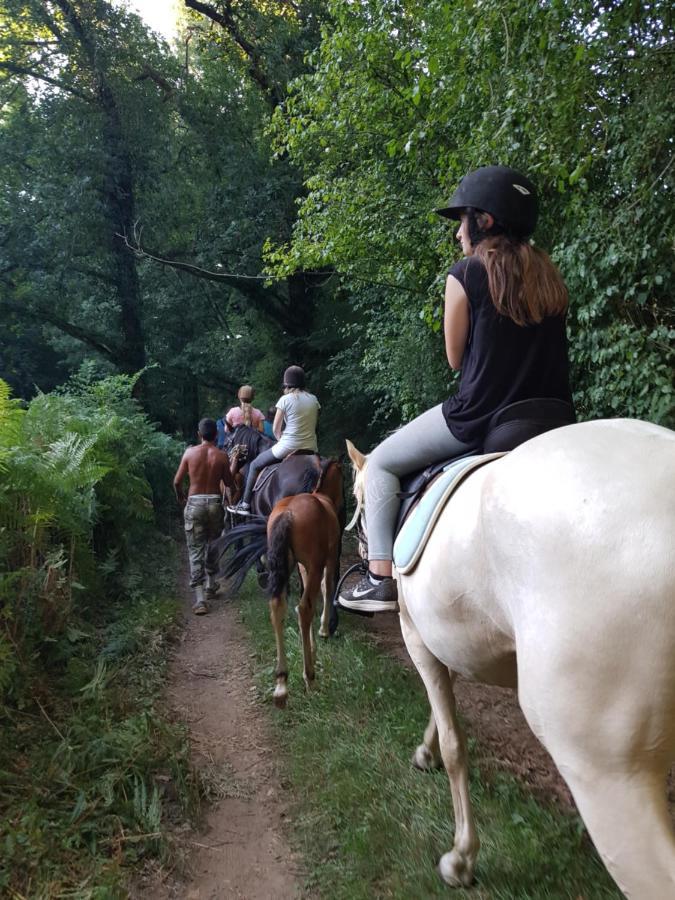 Gite Equestre Domaine Des Crins - Monpazier Capdrot Bagian luar foto