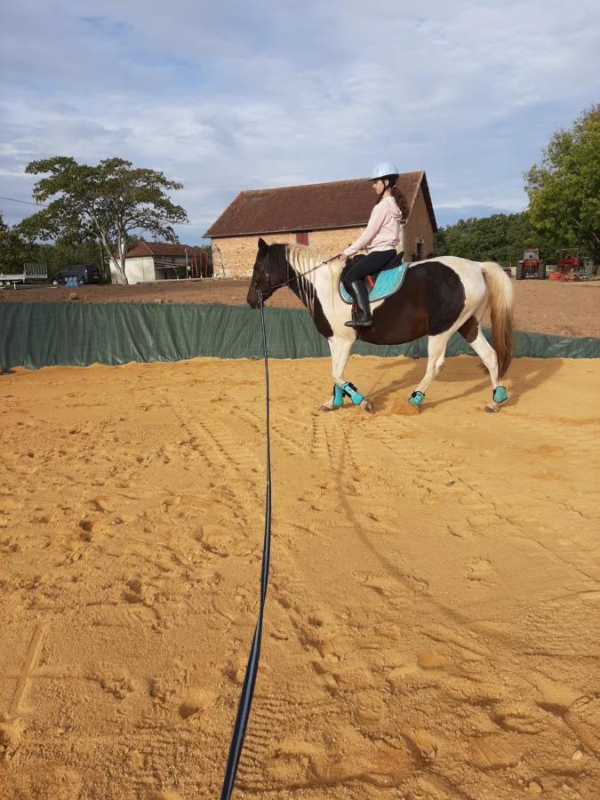 Gite Equestre Domaine Des Crins - Monpazier Capdrot Bagian luar foto
