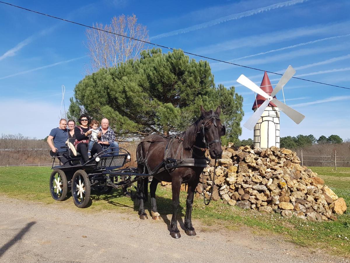 Gite Equestre Domaine Des Crins - Monpazier Capdrot Bagian luar foto