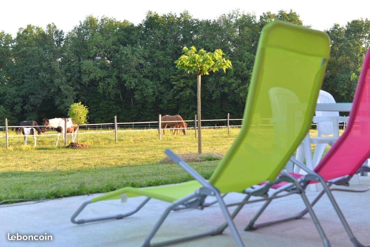 Gite Equestre Domaine Des Crins - Monpazier Capdrot Bagian luar foto